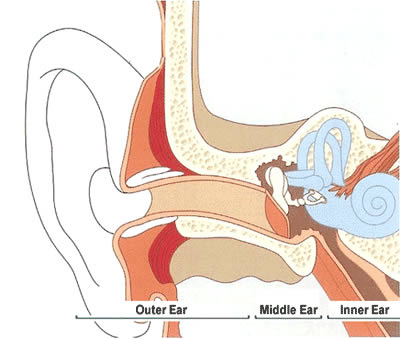 Ear Diagram